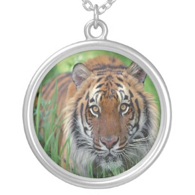 Tiger necklaces