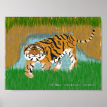 Tiger Oasis posters