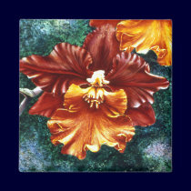 Tiger Orchid Magnet
