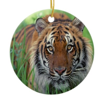 Tiger Christmas Tree Ornament