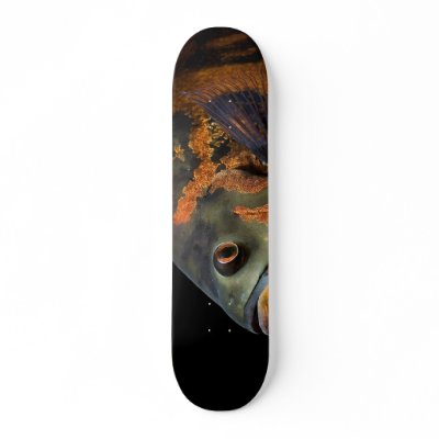 tiger oscar skateboard deck by lenio93