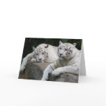 Tiger Pair Greeting Cards