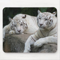 Tiger Pair mousepads