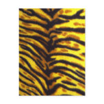 Tiger Pattern Post Card