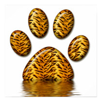 Tiger Paw Print