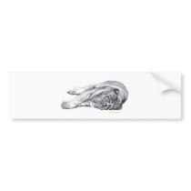 Tiger - Pen and Ink bumper stickers