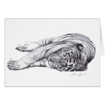 Tiger - Pen and Ink cards