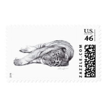 Tiger - Pen and Ink postage
