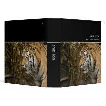 Tiger · Photo Book binders