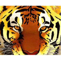 Tiger Acrylic Cut Outs