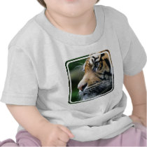 Tiger Picture  Baby T-Shirt