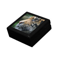 Tiger Picture Gift Box