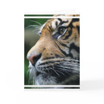 Tiger Picture Greeting Card