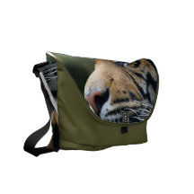Tiger Picture  Messenger Bag
