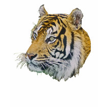 Tiger Picture t-shirts