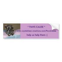 tiger pink n bluee, * PAWS CAUSE *, www.crystal... bumper stickers