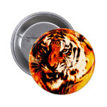 Tiger Portrait Button
