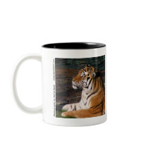 Tiger Portrait Mug