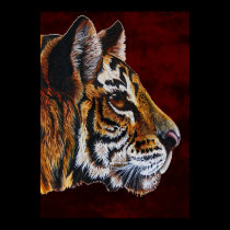 tiger portraite 2 posters