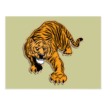Tiger Post Card