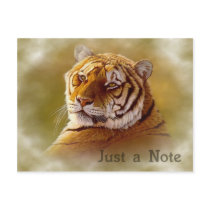 Tiger Post Card postcards