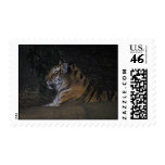 Tiger Postage