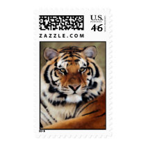 Tiger postage