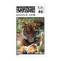 Tiger postage by nwillens Tiger postage