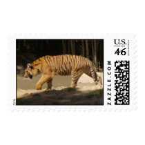 Tiger! postage