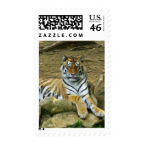 Tiger postage