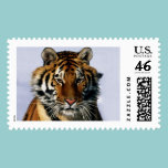 tiger postage