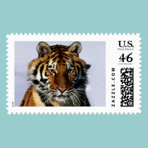 tiger postage
