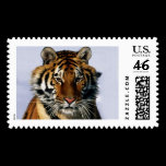 tiger postage