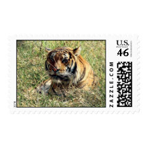 Tiger postage