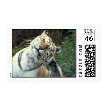 Tiger Postage Stamp