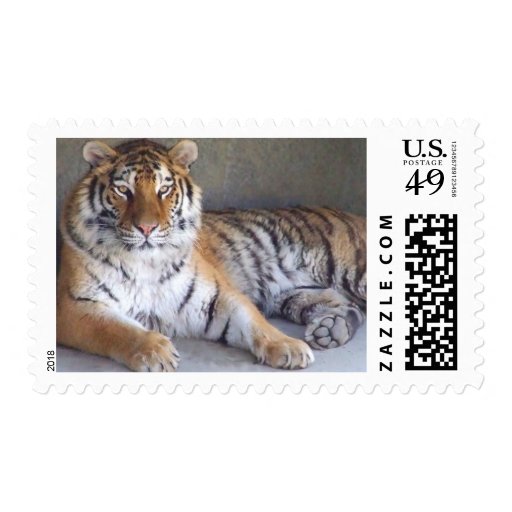 Tiger Postage Stamps Zazzle