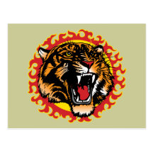 Tiger Postcard