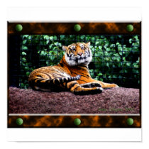 Tiger Poster posters