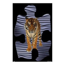 Tiger Poster posters by norman888 Tiger Poster posters