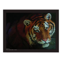 Tiger! posters
