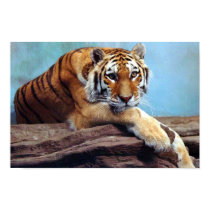 Tiger Poster posters by headgeek Tiger Poster posters