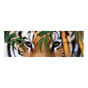 tiger posters