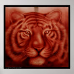 Tiger Print