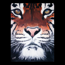 Tiger posters