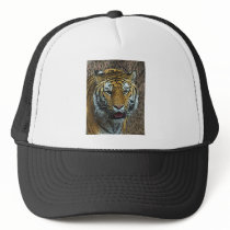 Tiger Poster Hat