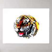 Tiger Poster Print - SiberianTigers Posters