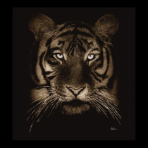 Tiger Print