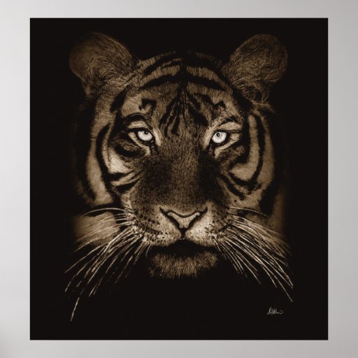 Tiger Print