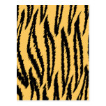 Tiger Print Pattern. Orange and Black. Post Cards