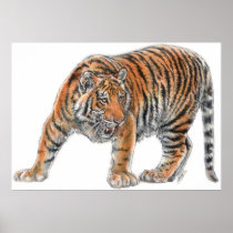 Tiger Print